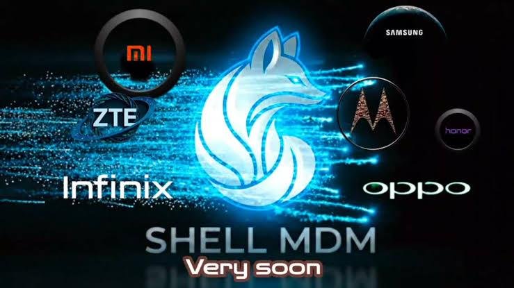 ShellTool - 12 Months 